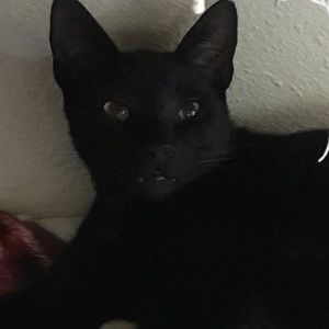 Meet your Posher, Luisa